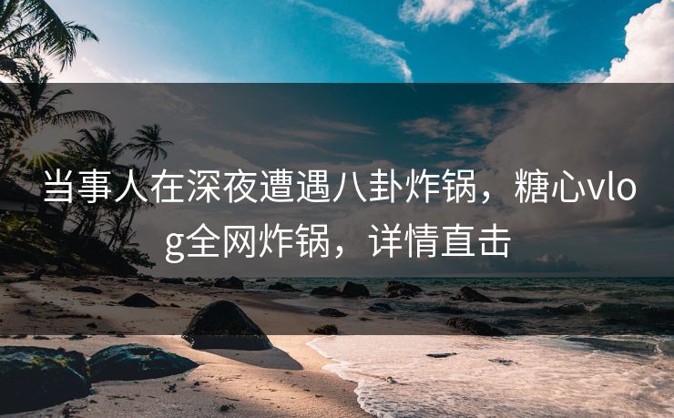 当事人在深夜遭遇八卦炸锅，糖心vlog全网炸锅，详情直击