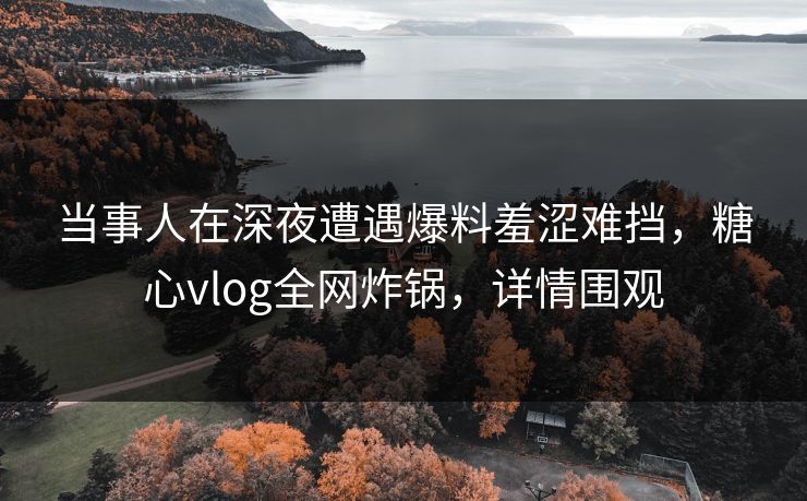 当事人在深夜遭遇爆料羞涩难挡,糖心vlog全网炸锅,详情围观 当事人在深夜遭遇爆料羞涩难挡,糖心vlog全网炸锅,详情围观
