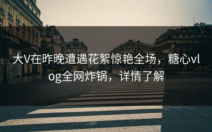 大V在昨晚遭遇花絮惊艳全场，糖心vlog全网炸锅，详情了解