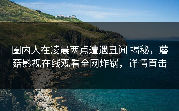圈内人在凌晨两点遭遇丑闻 揭秘，蘑菇影视在线观看全网炸锅，详情直击
