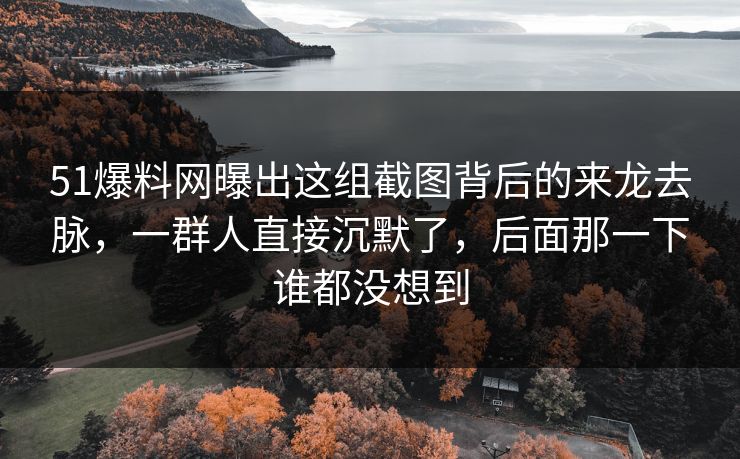 51爆料网曝出这组截图背后的来龙去脉，一群人直接沉默了，后面那一下谁都没想到